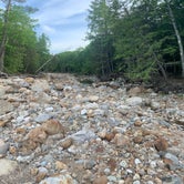 Review photo of Dry River — Crawford Notch State Park by Jennifer S., August 20, 2021