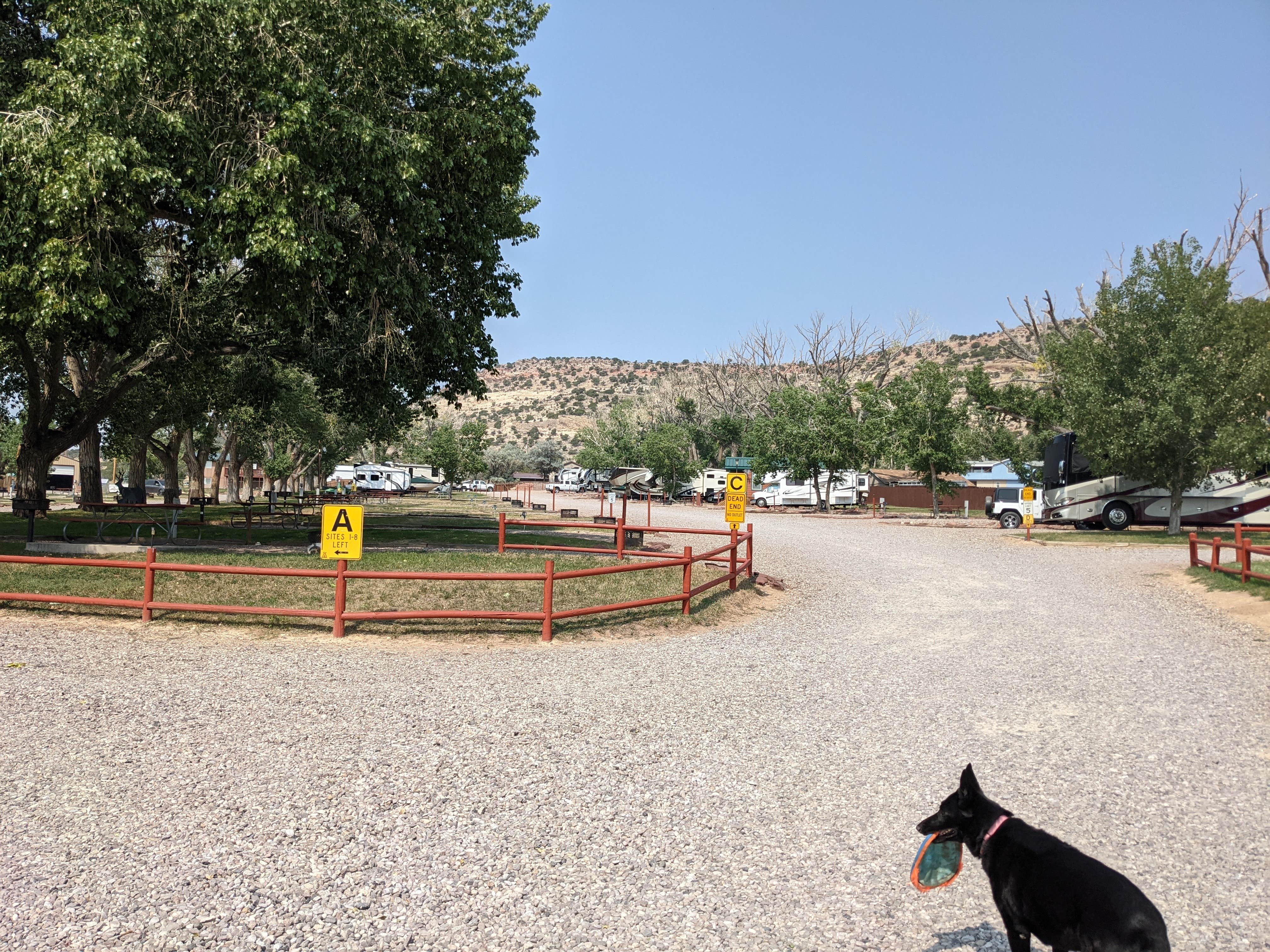 Camper submitted image from Flaming Gorge-Manila KOA - 4