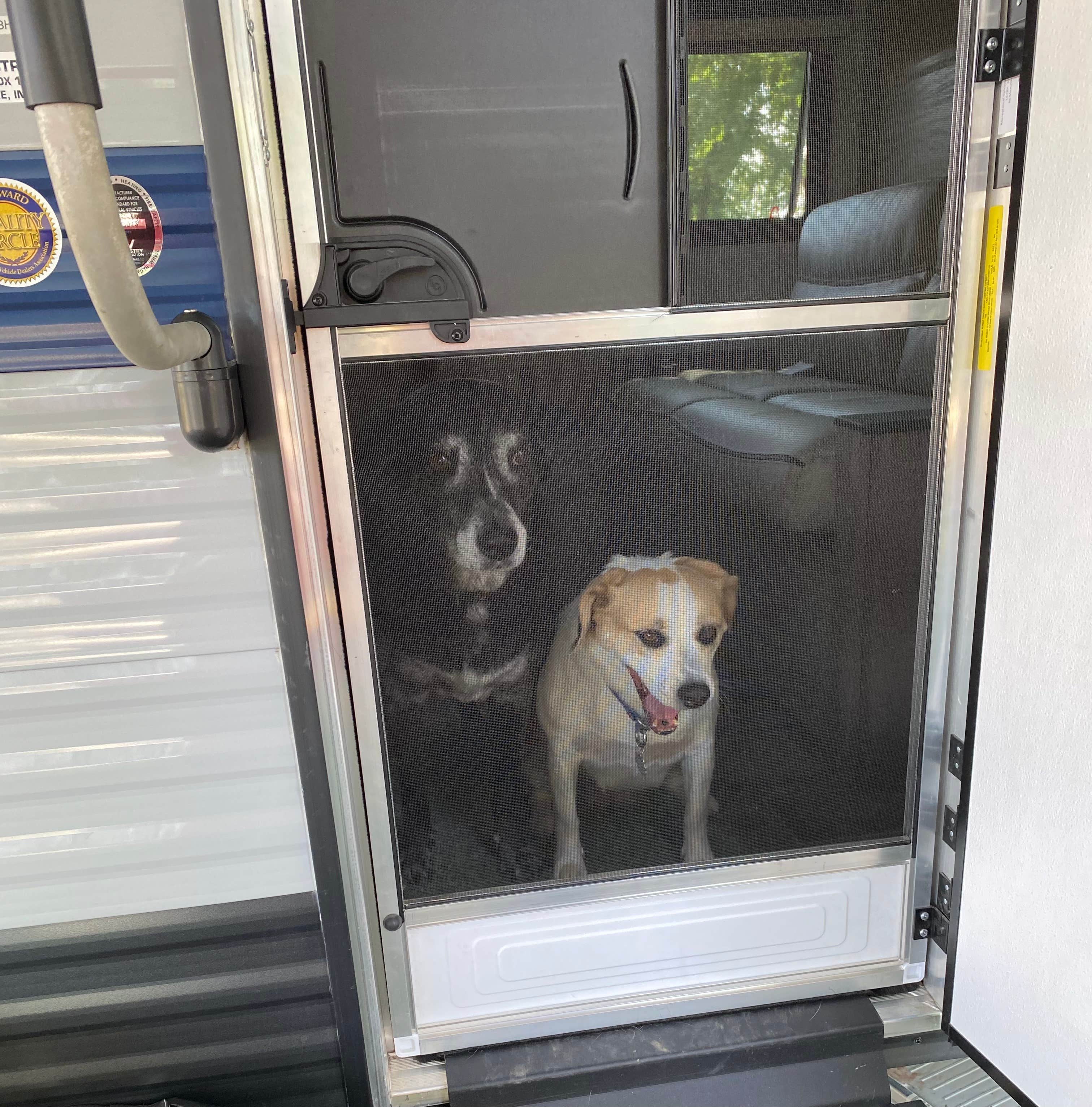 Rollie & Holly B.'s photo of camping with pets at Galesburg East / Knoxville KOA Journey near Brimfield, IL