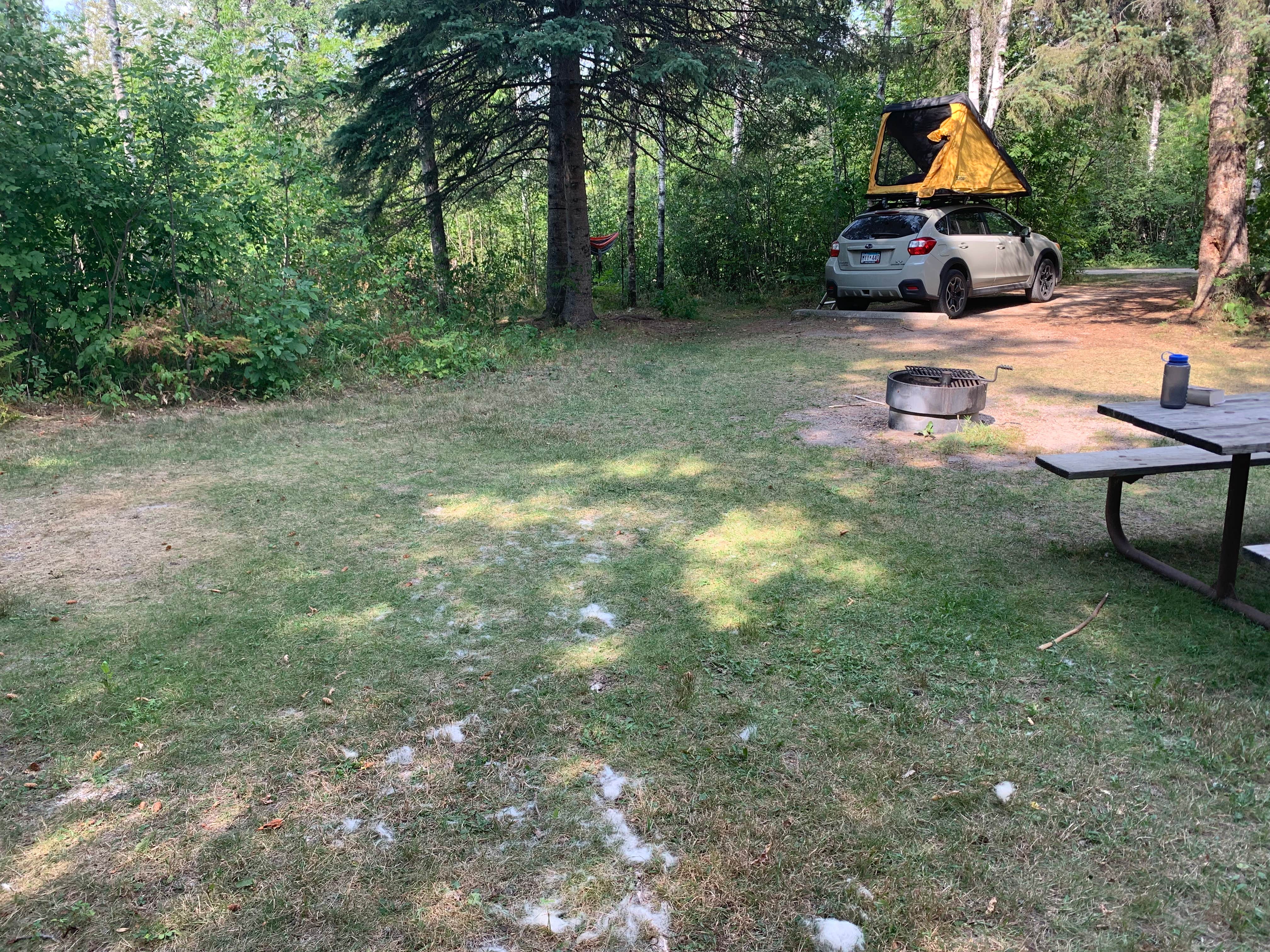 Torey H.'s photo at Hayes Lake State Park Campground near Roseau, MN