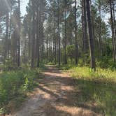 Review photo of Hayes Lake State Park Campground by Torey H., August 20, 2021