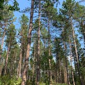 Review photo of Hayes Lake State Park Campground by Torey H., August 20, 2021