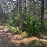 Review photo of Hayes Lake State Park Campground by Torey H., August 20, 2021