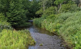 Camping near Salmon Creek Dispersed : Red Mill Pond, Ridgway, Pennsylvania