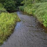 Review photo of Red Mill Pond by Matt J., August 20, 2021