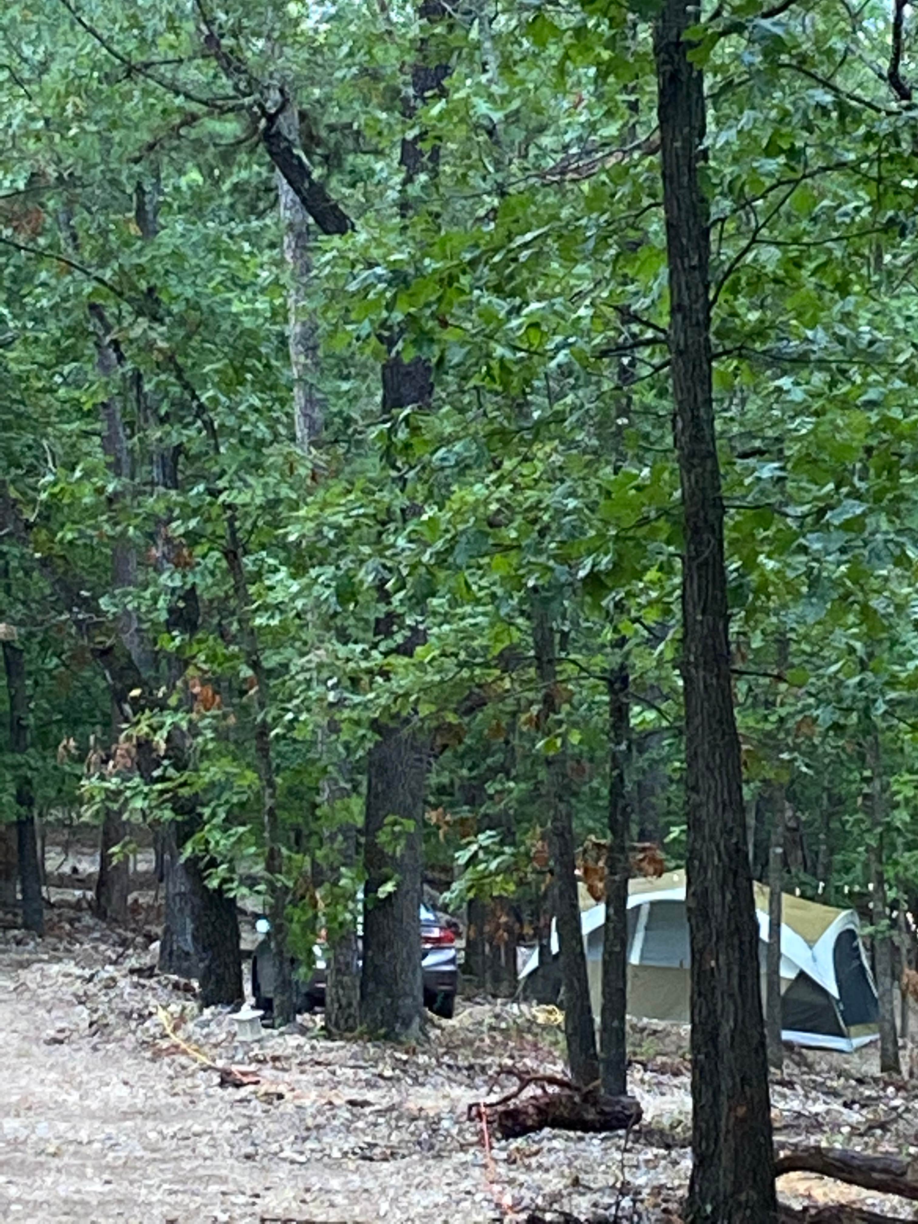 Ramble R.'s photo at Ramble Ridge Campground - Closed near Beaver Lake