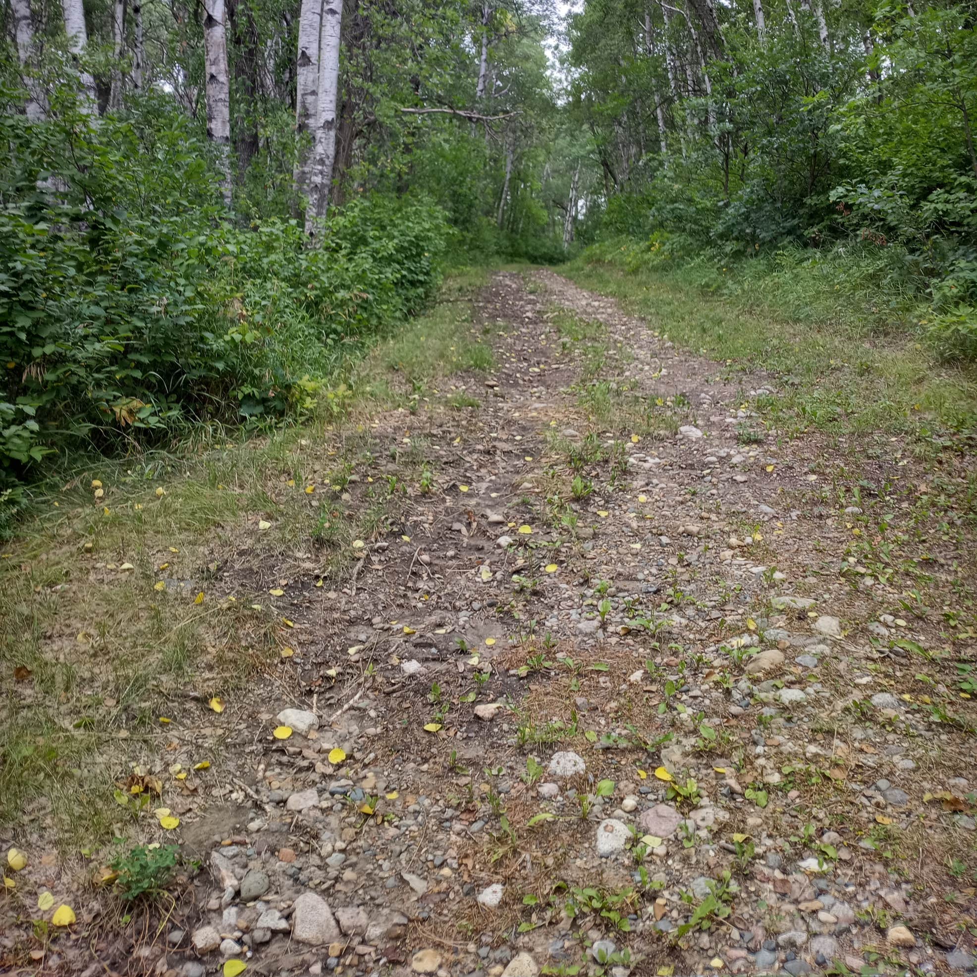 Strawberry Lake Camping Bottineau, ND