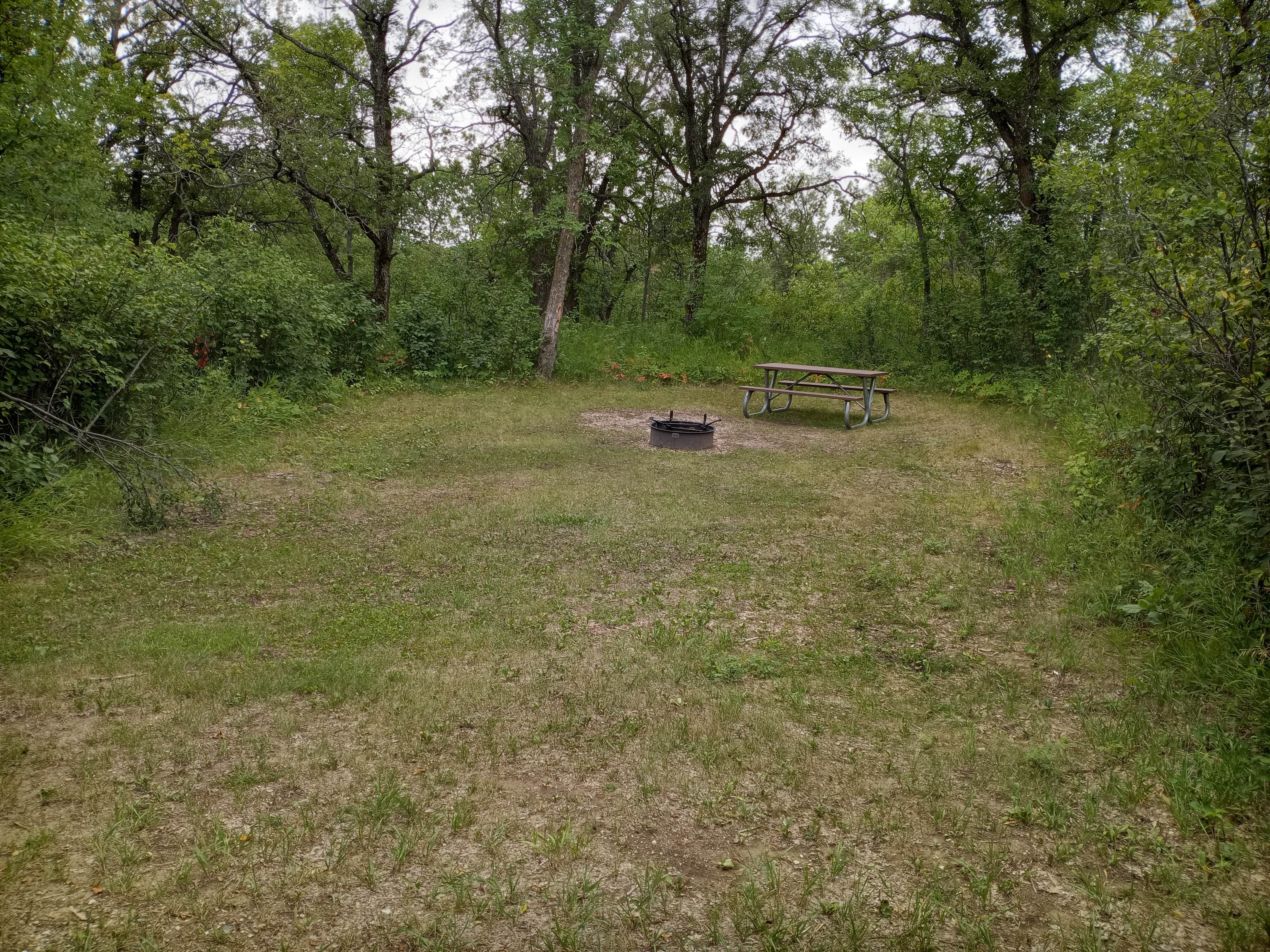 Camper-submitted photo at Strawberry Lake Campgrounds near Bottineau, ND