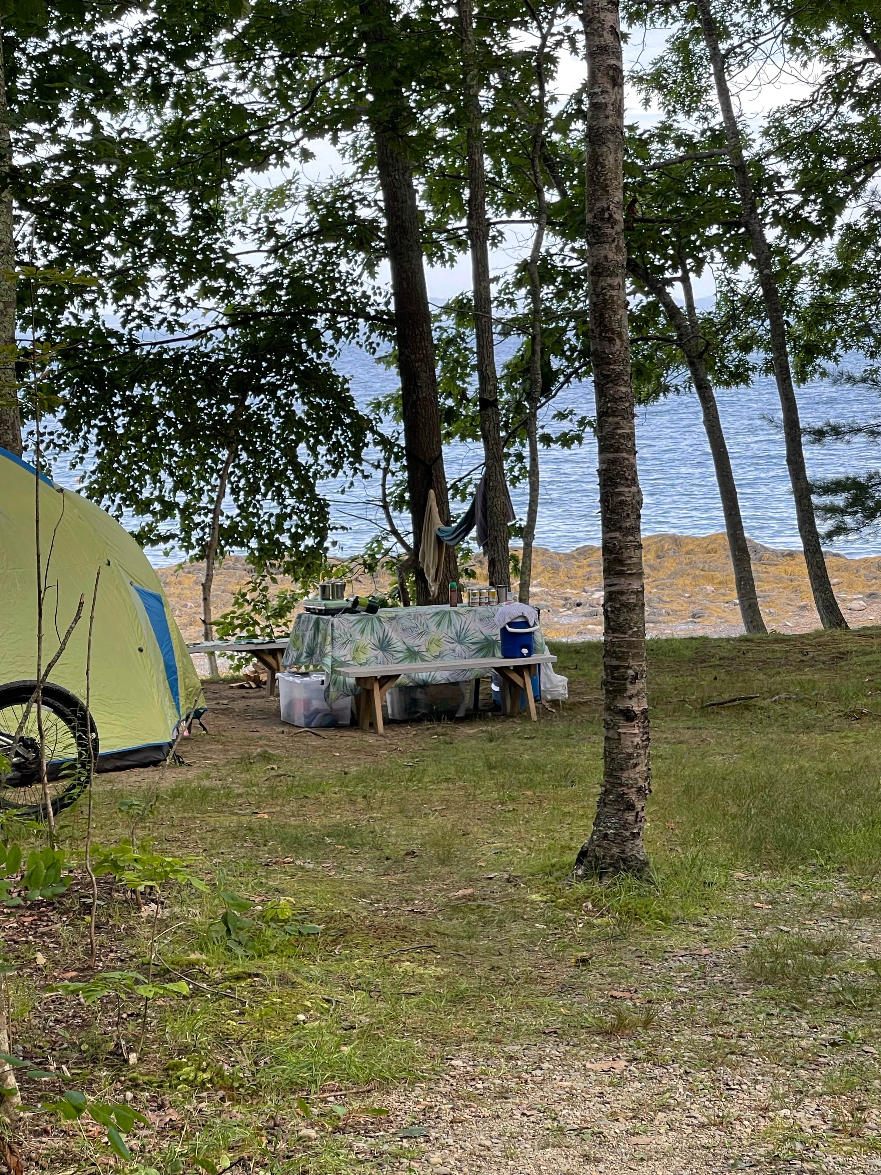 Anne's photo at Searsport Shores Ocean Campground near Sandy Point, ME