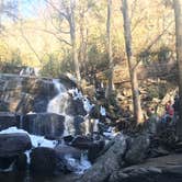 Review photo of Abrams Creek Campground — Great Smoky Mountains National Park by Arden S., June 19, 2018