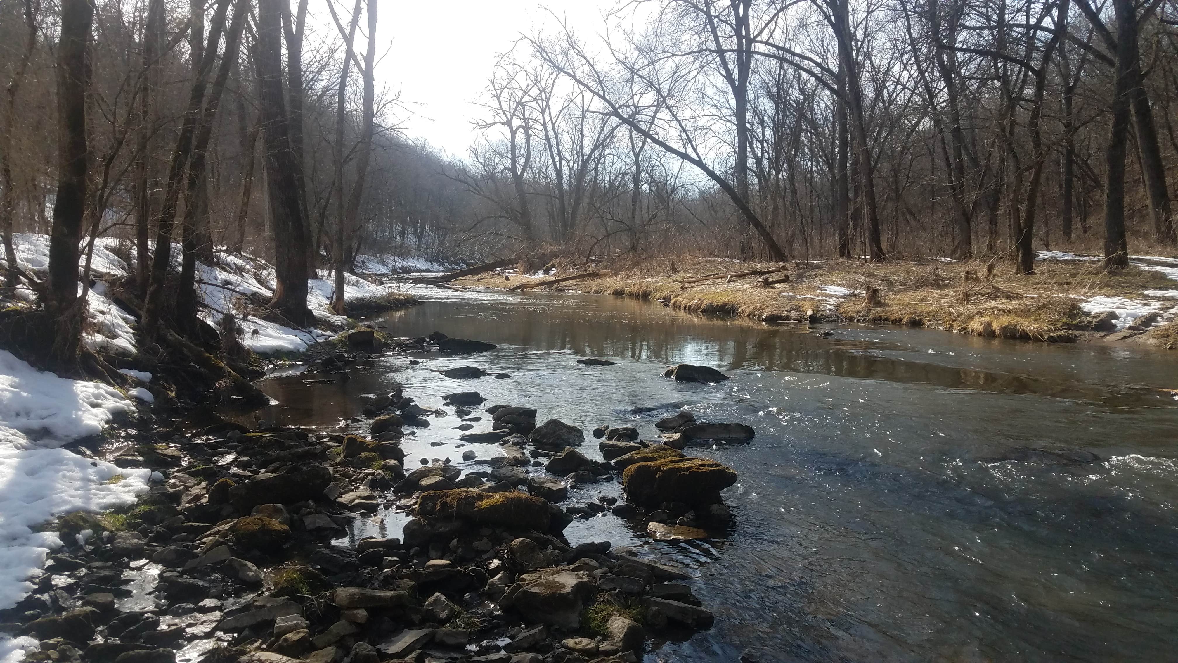 Camping near Upper Iowa Resort and Rental: South Bear Creek, Decorah, Iowa