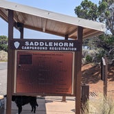 Review photo of Saddlehorn Campground — Colorado National Monument by Greg L., August 20, 2021