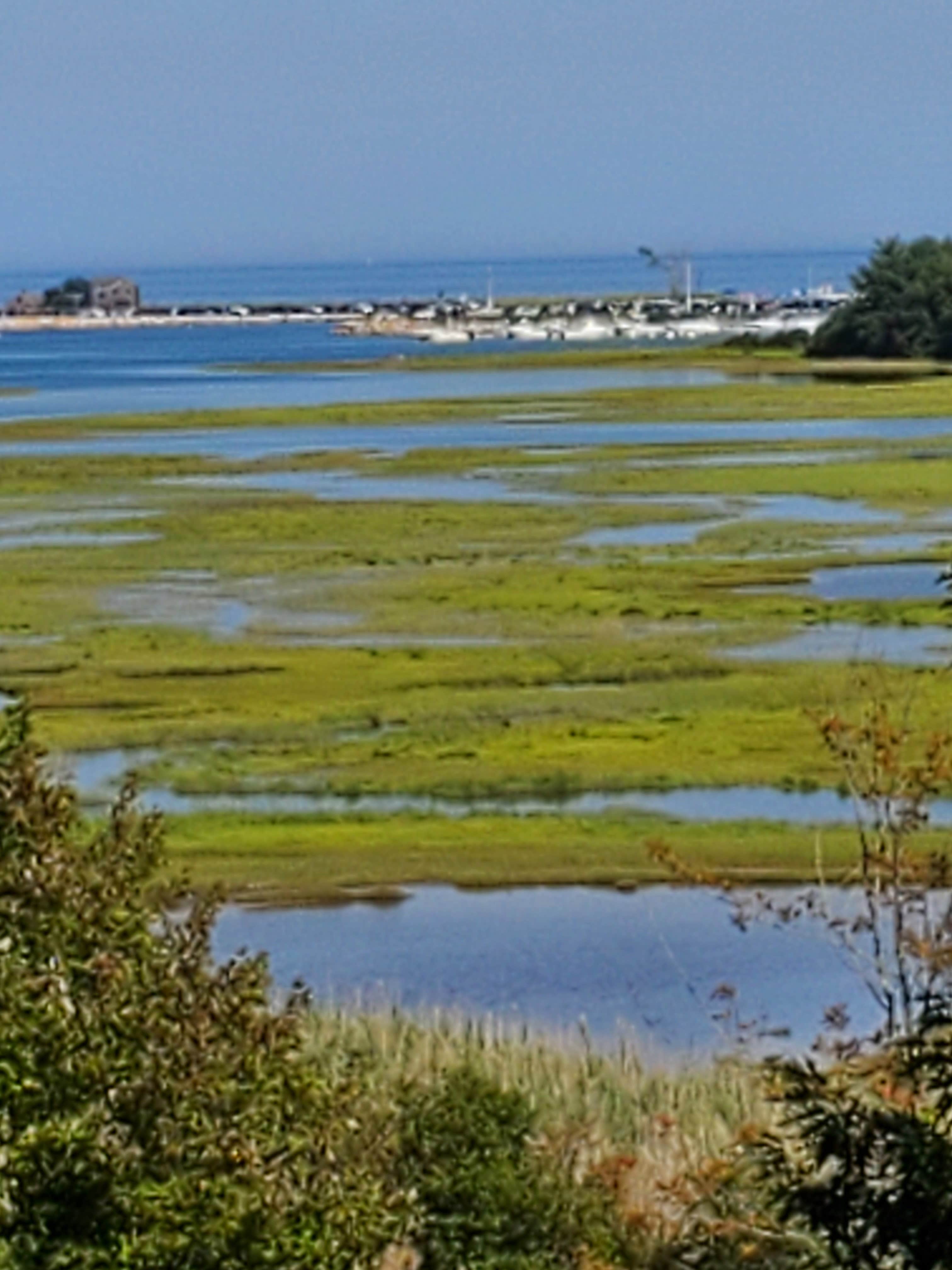 Camper-submitted photo at Ocean View Cottage and Campground near York Harbor, ME