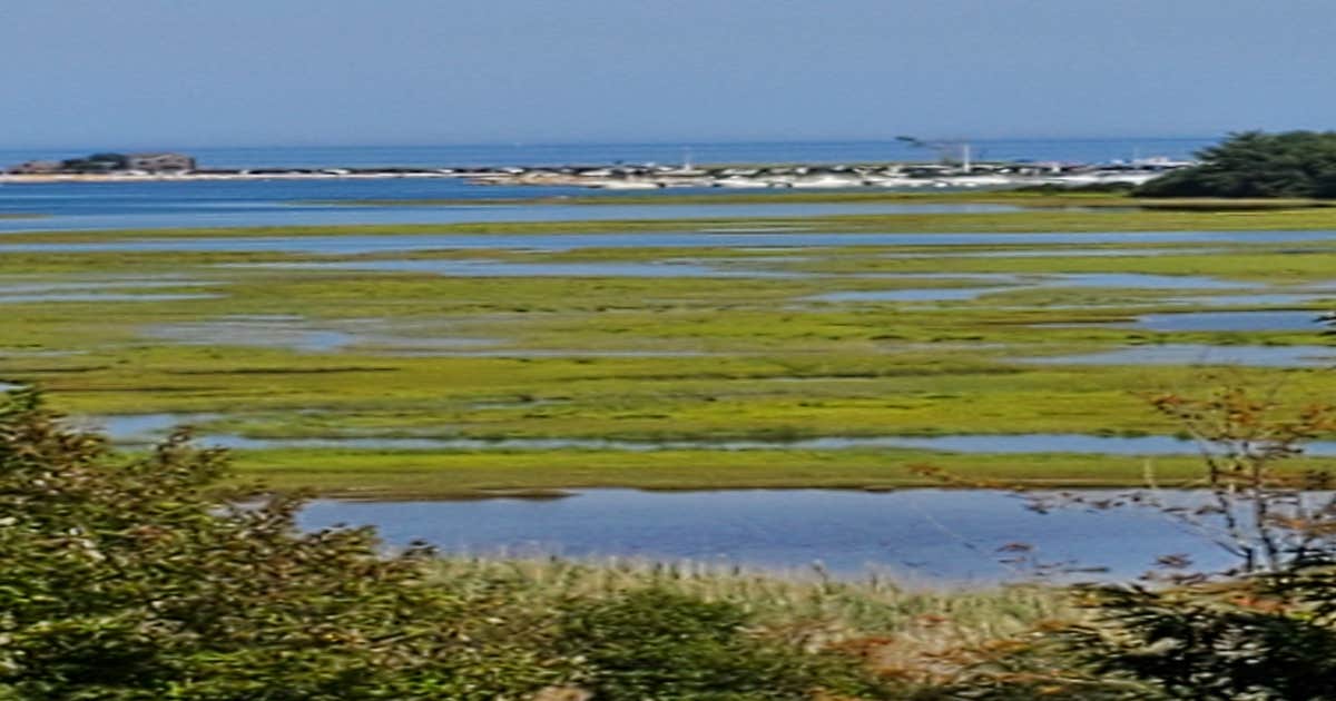 Ocean View Cottage and Campground