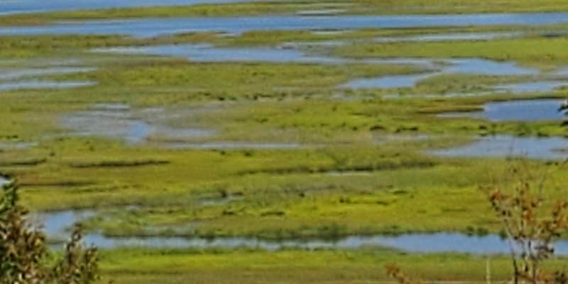 Camper submitted image from Ocean View Cottage and Campground