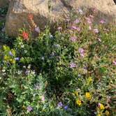 Review photo of West Magnolia Campground by Corey M., August 20, 2021