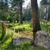 Review photo of Deerhead Campground — Lincoln National Forest by Jamie P., August 21, 2021