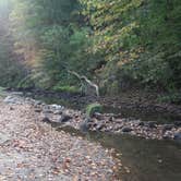 Review photo of Six Pines Campground — Backbone State Park by Kerry M., August 21, 2021