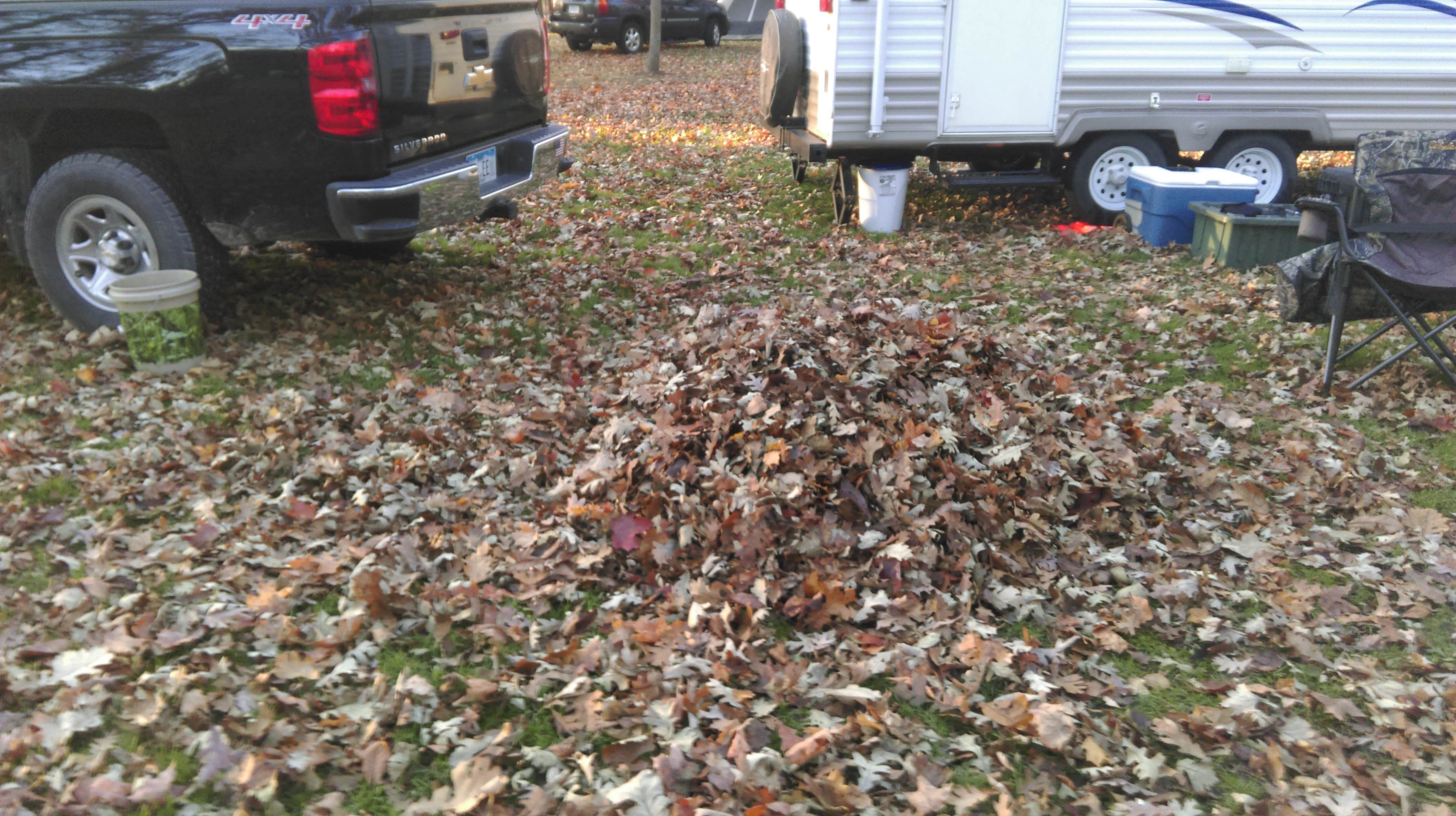 Kerry M.'s photo of rv camping at Six Pines Campground — Backbone State Park near Independence, IA