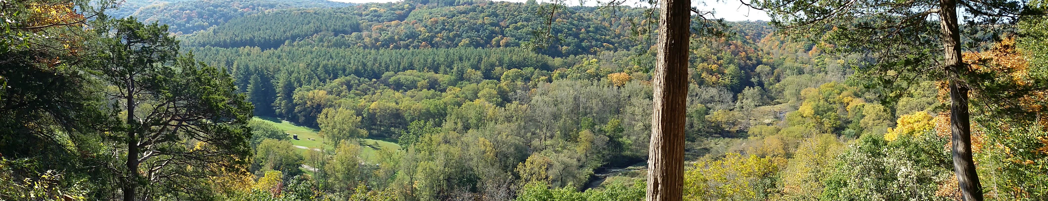 Camper submitted image from Little Paint Campground — Yellow River State Forest - 2