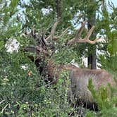 Review photo of Signal Mountain Campground — Grand Teton National Park by Benjamin K., August 21, 2021