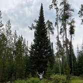 Review photo of Signal Mountain Campground — Grand Teton National Park by Benjamin K., August 21, 2021