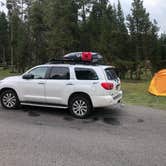 Review photo of Bridge Bay Campground — Yellowstone National Park by Macel C., August 21, 2021