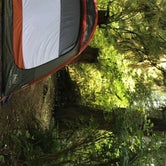 Review photo of Mora Campground — Olympic National Park by Courtney P., August 21, 2021
