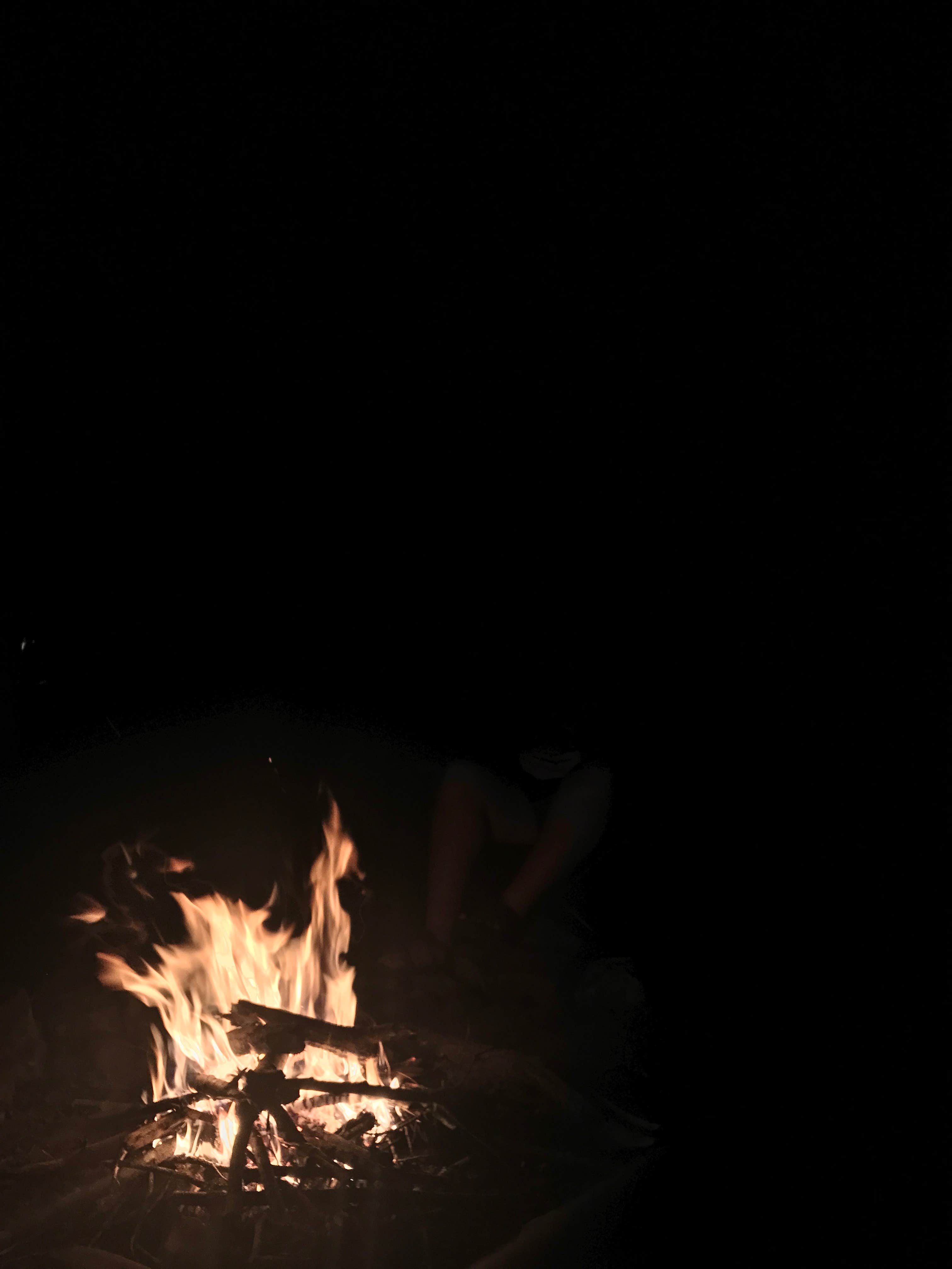 Arden S.'s photo at DeSoto State Park Campground near Fort Payne, AL