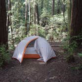 Review photo of Little Basin Cabins and Campground — Big Basin Redwoods State Park by sarah L., August 21, 2021