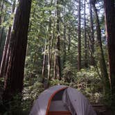 Review photo of Little Basin Cabins and Campground — Big Basin Redwoods State Park by sarah L., August 21, 2021