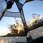 Review photo of Mesquite Spring Campground — Death Valley National Park by sarah L., August 21, 2021