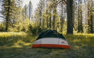 sarah L.'s photo at Cattle Camp Campground near McCloud, CA
