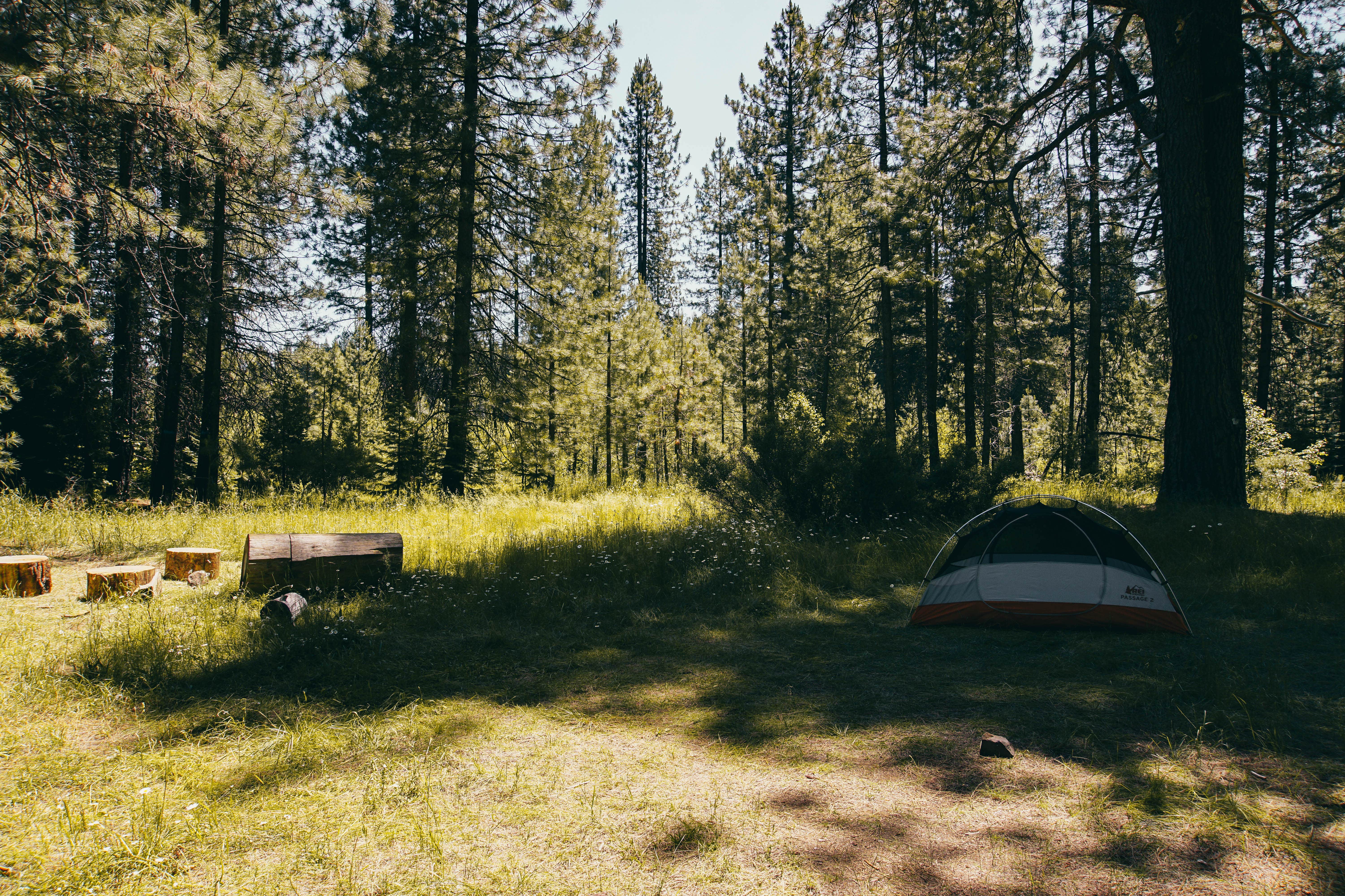 Best tent camping near Shasta Lake, California The Dyrt