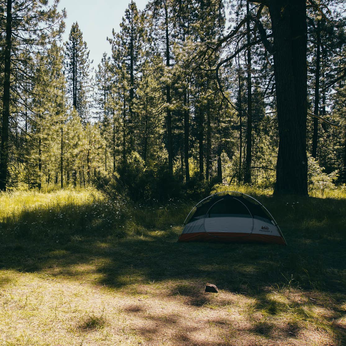 Cattle Camp Campground | McCloud, CA