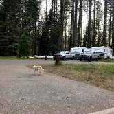 Review photo of Cattle Camp Campground by sarah L., August 21, 2021