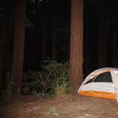 Review photo of Little Basin Cabins and Campground — Big Basin Redwoods State Park by sarah L., August 21, 2021