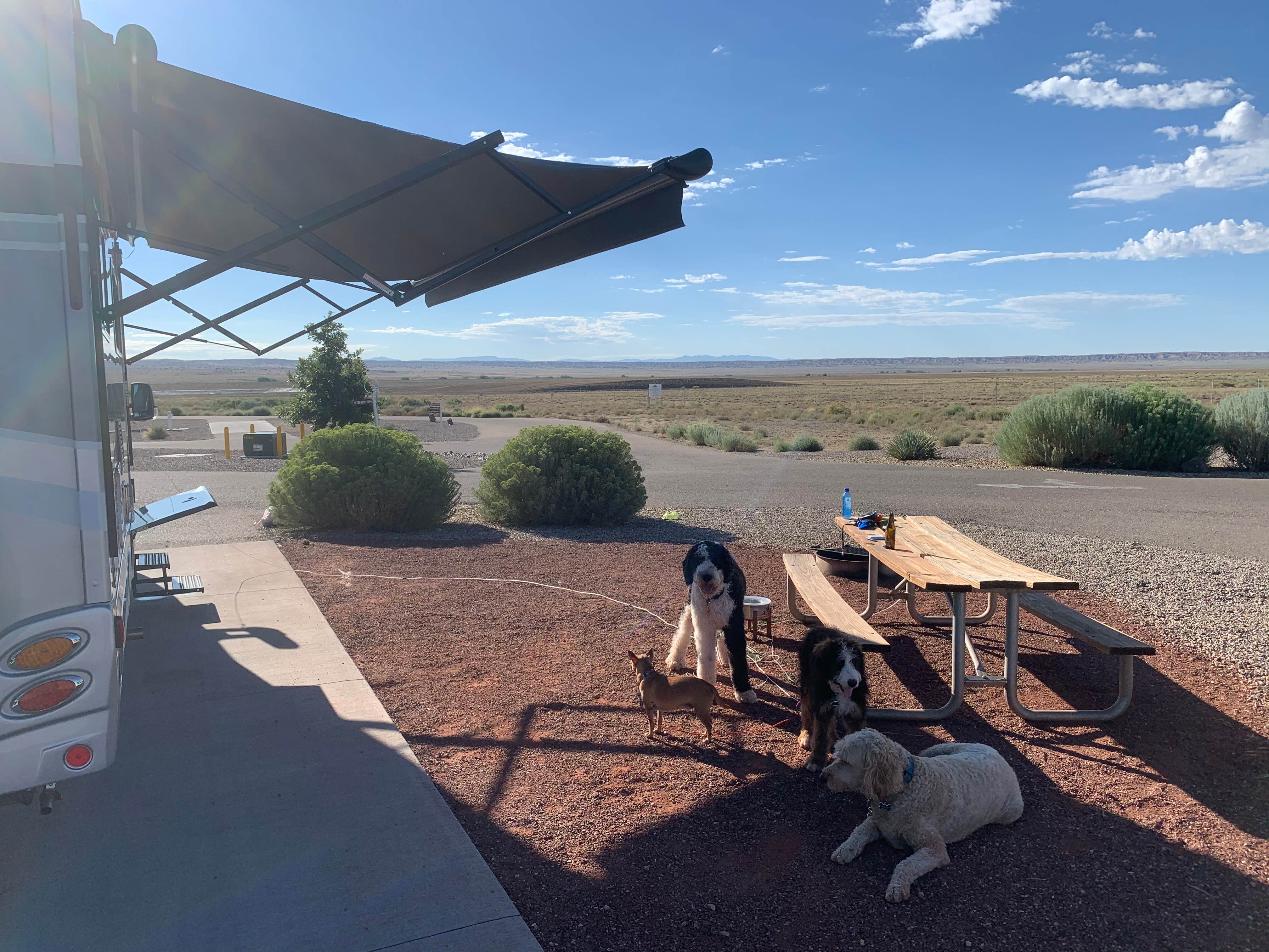 Escape to the Sands: Your New Mexico RV Adventure at Cibola Sands RV Park