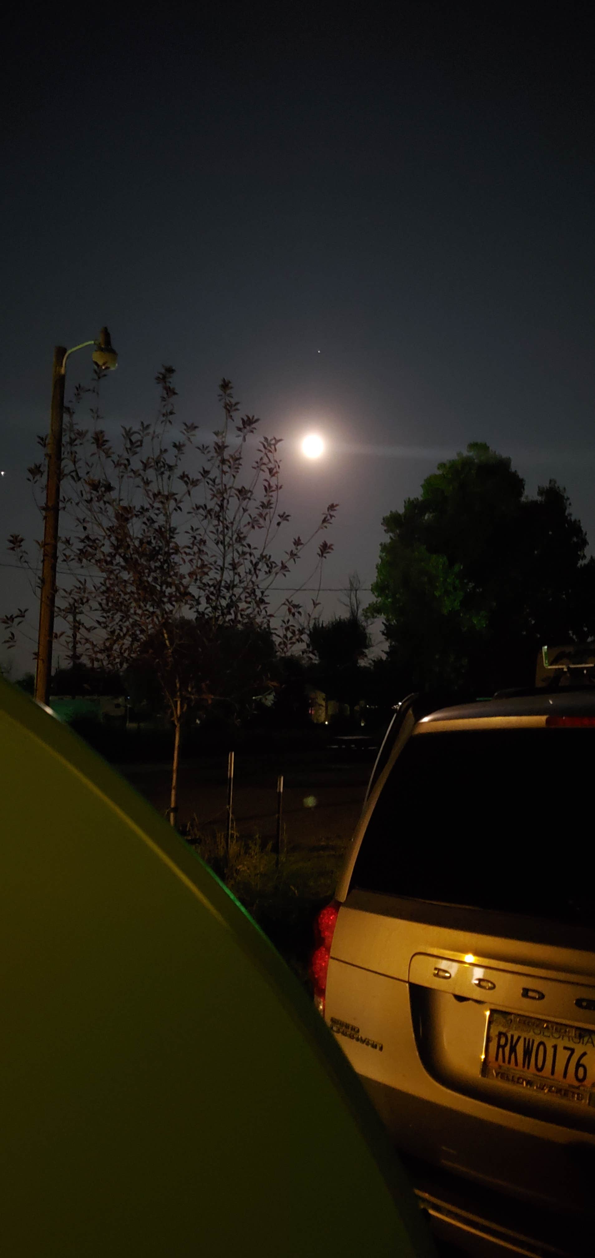 Camper submitted image from Shady Grove Campground - 5