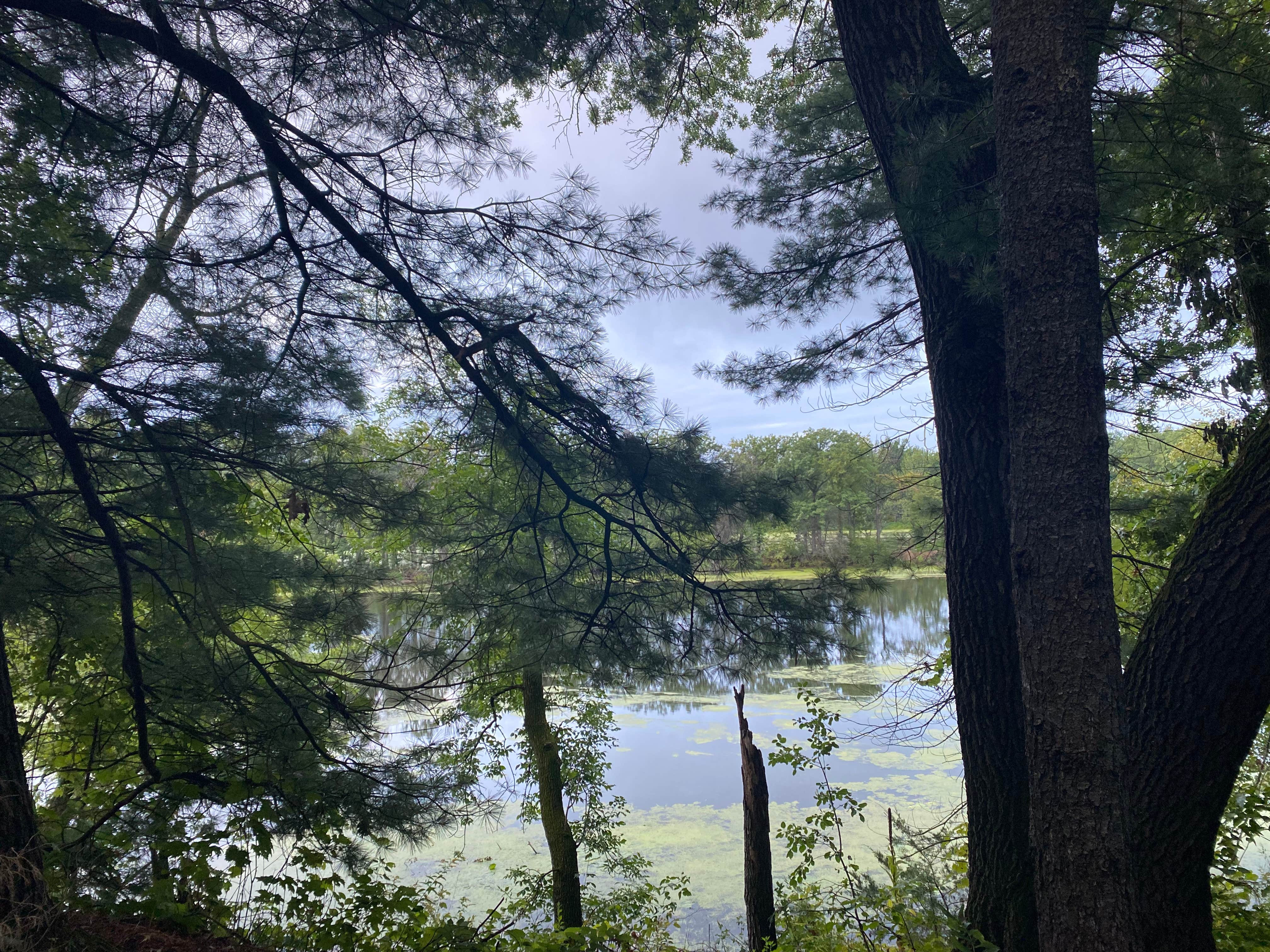 Water