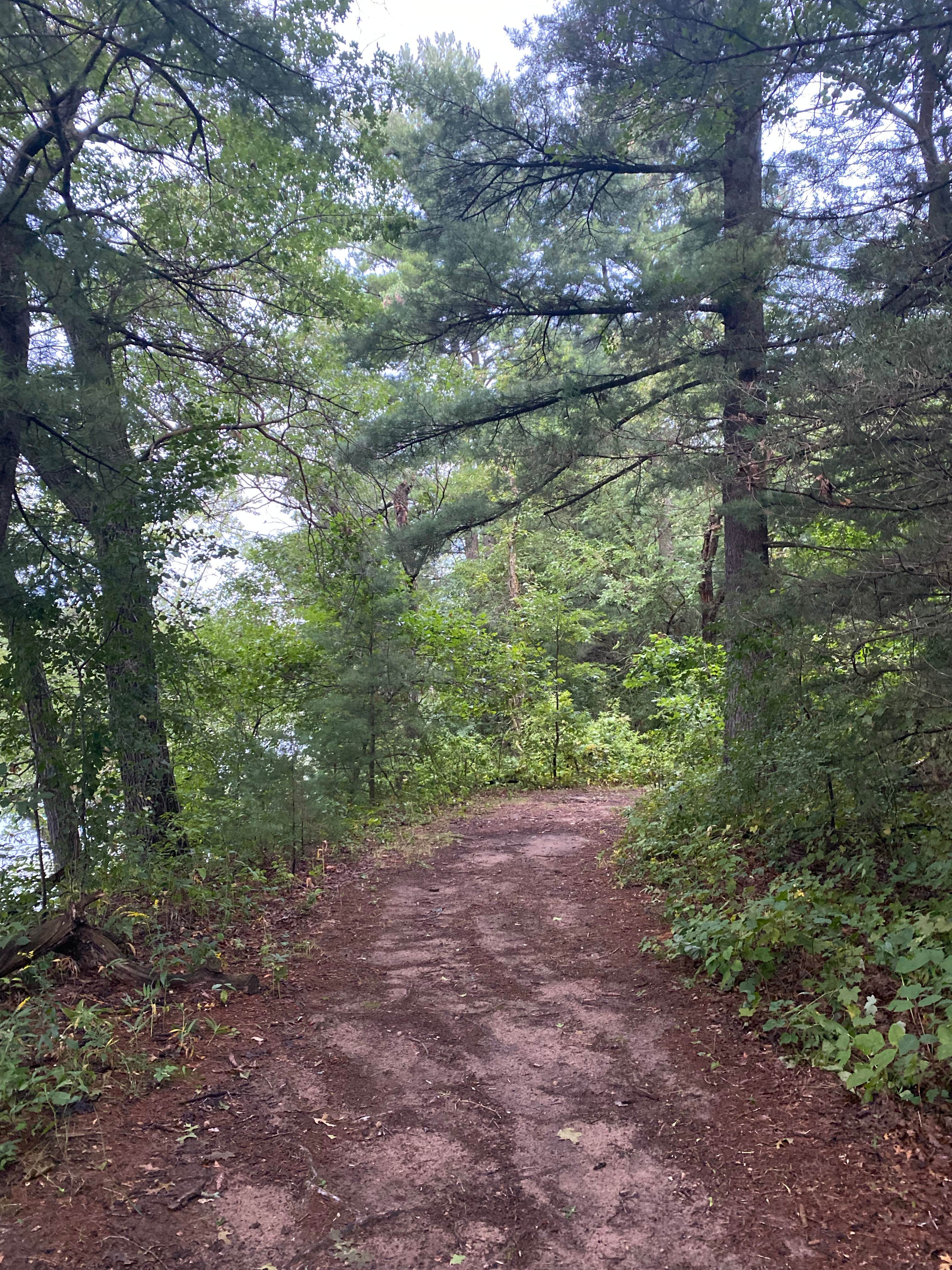 Camper submitted image from Merrick State Park Campground - 4
