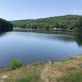 Review photo of Manor - Cunningham Falls State Park by Candace and Sean B., August 21, 2021