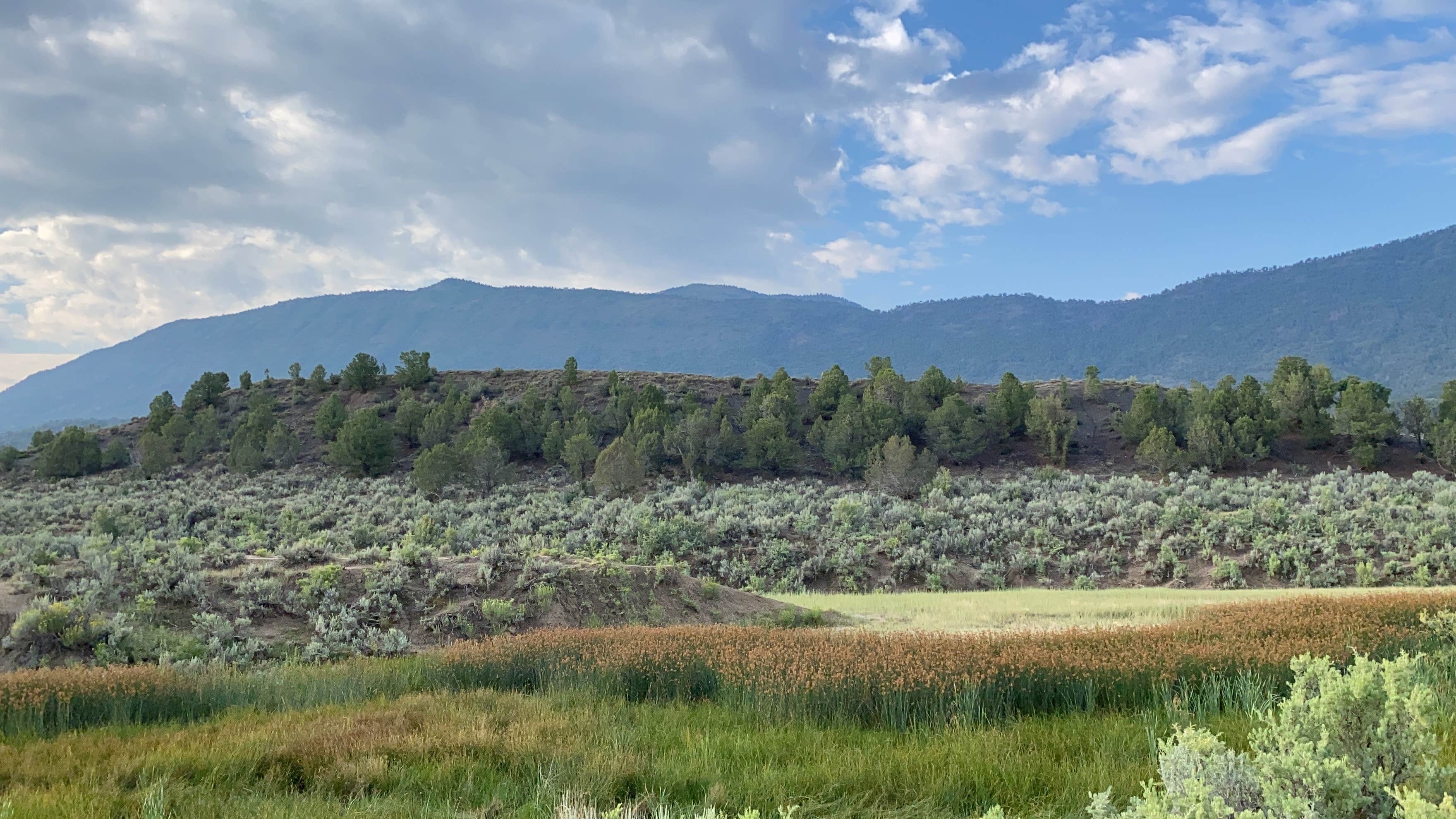 Sarah H.'s photo of a dispersed camping area at Hubbard Mesa OHV East - BLM near Meeker, CO