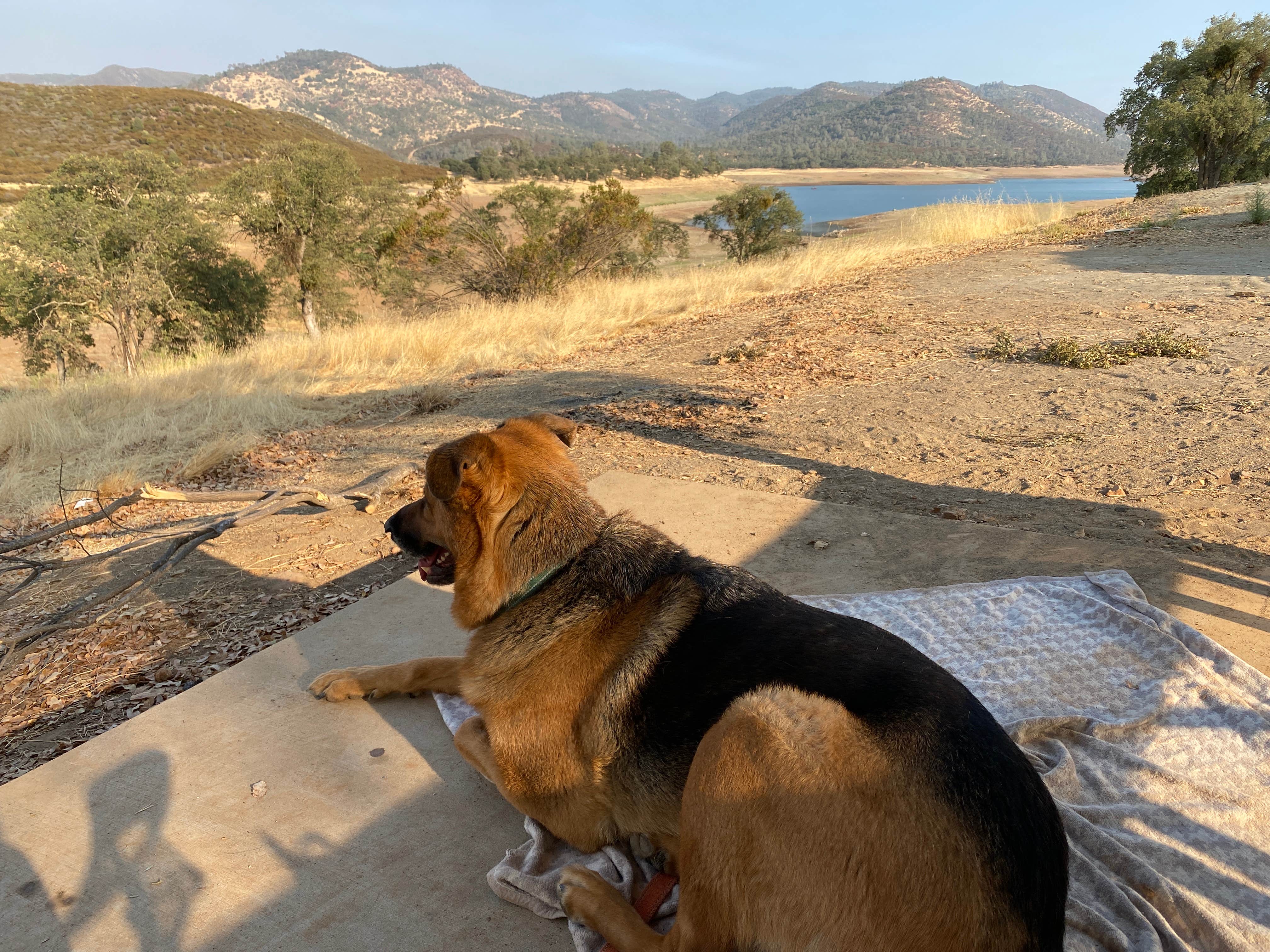 mora's photo of camping with pets at Acorn Campground near Columbia, CA