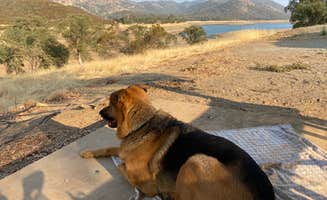 mora's photo of camping with pets at Acorn Campground near Jamestown, CA