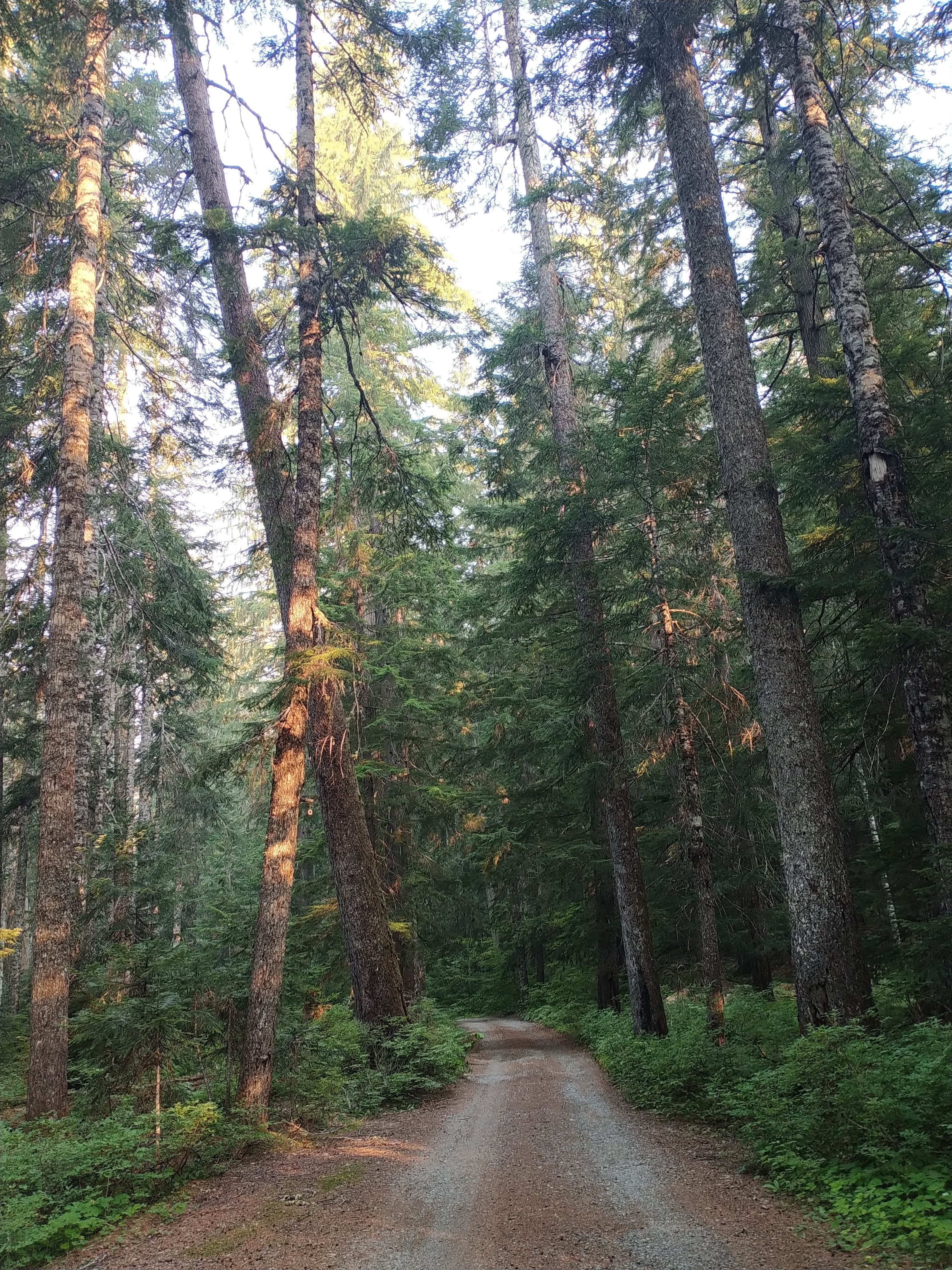 Camper submitted image from Soda Springs - 3