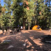 Review photo of Aspen Meadows Campground — Golden Gate Canyon by L M., August 21, 2021