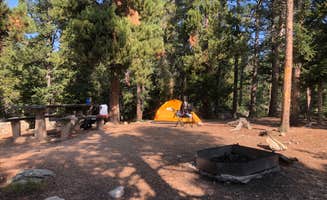 L M.'s photo of tent camping at Aspen Meadows Campground — Golden Gate Canyon near Parker, CO