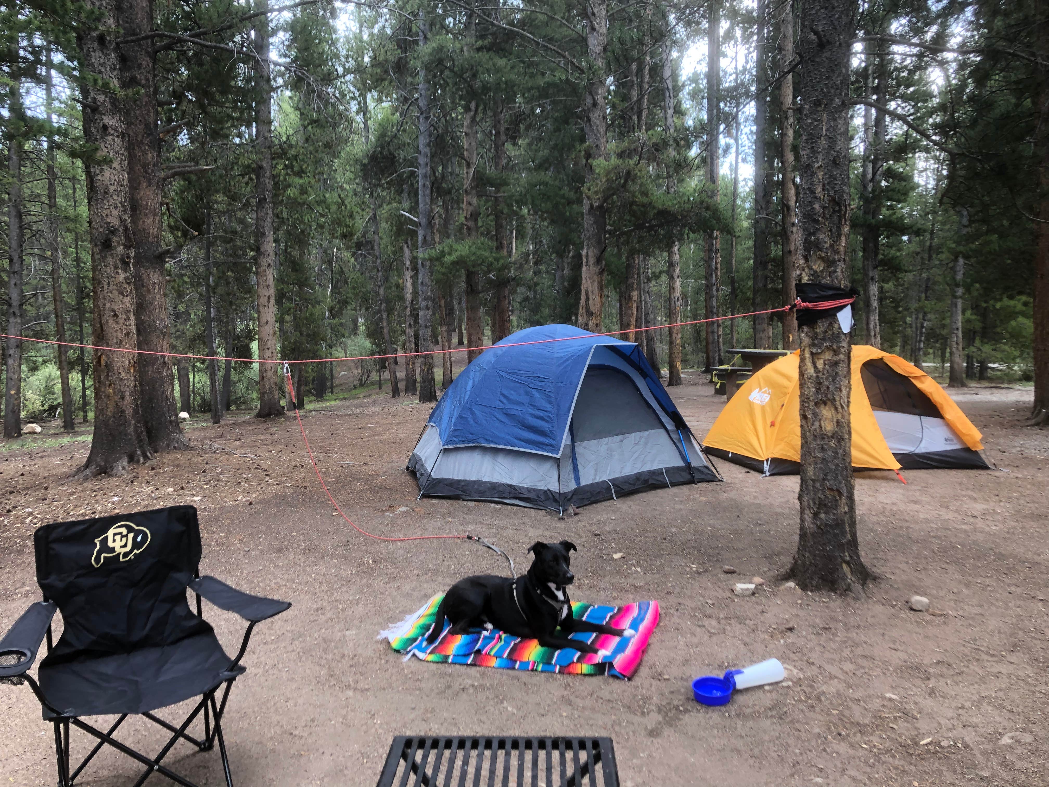Best camping near Buena Vista, Colorado The Dyrt