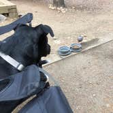 Review photo of Reverend's Ridge Campground — Golden Gate Canyon by L M., August 21, 2021